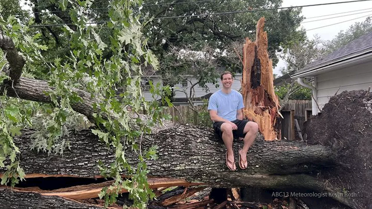 'Ancient' oak tree falls on ABC13 Meteorologist Kevin Roth's house