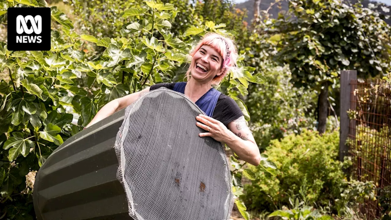 How to get started with composting, and the surprising things you can throw in