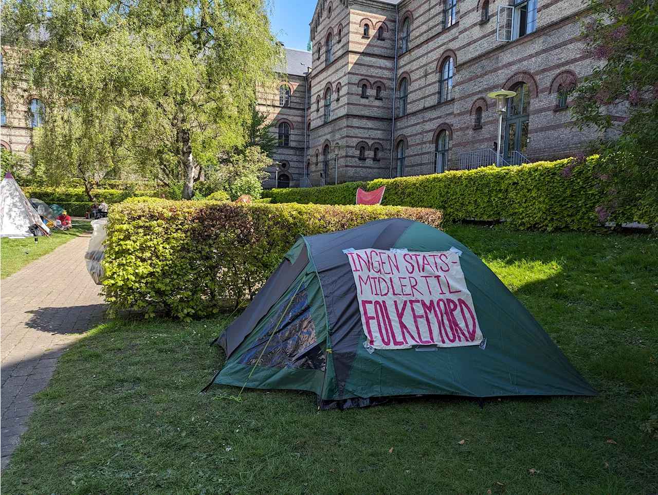 Faglig støtte til teltlejr: Madbude har samlet ind til Rafah Garden