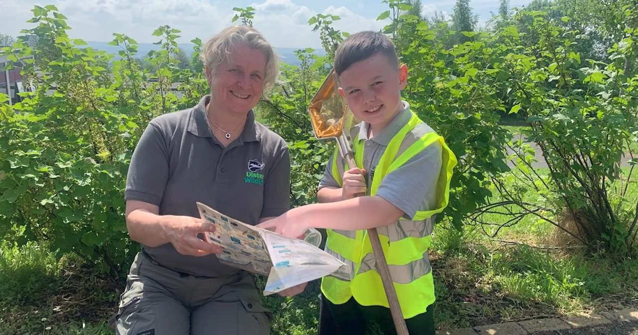 Belfast schoolboy discovers Northern Ireland’s first recorded water stick insect