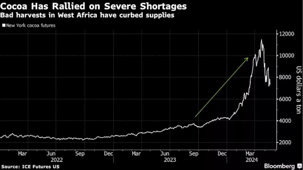 Cocoa Crisis Made Worse by Underpaying Farmers, Tony’s CEO Says