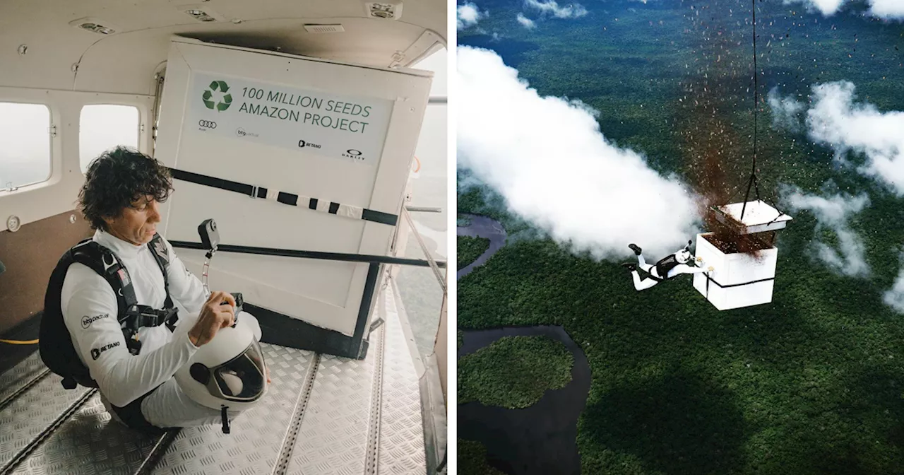 Man Sprinkles 100 Million Seeds Above Amazon Forest From 6,500 Feet