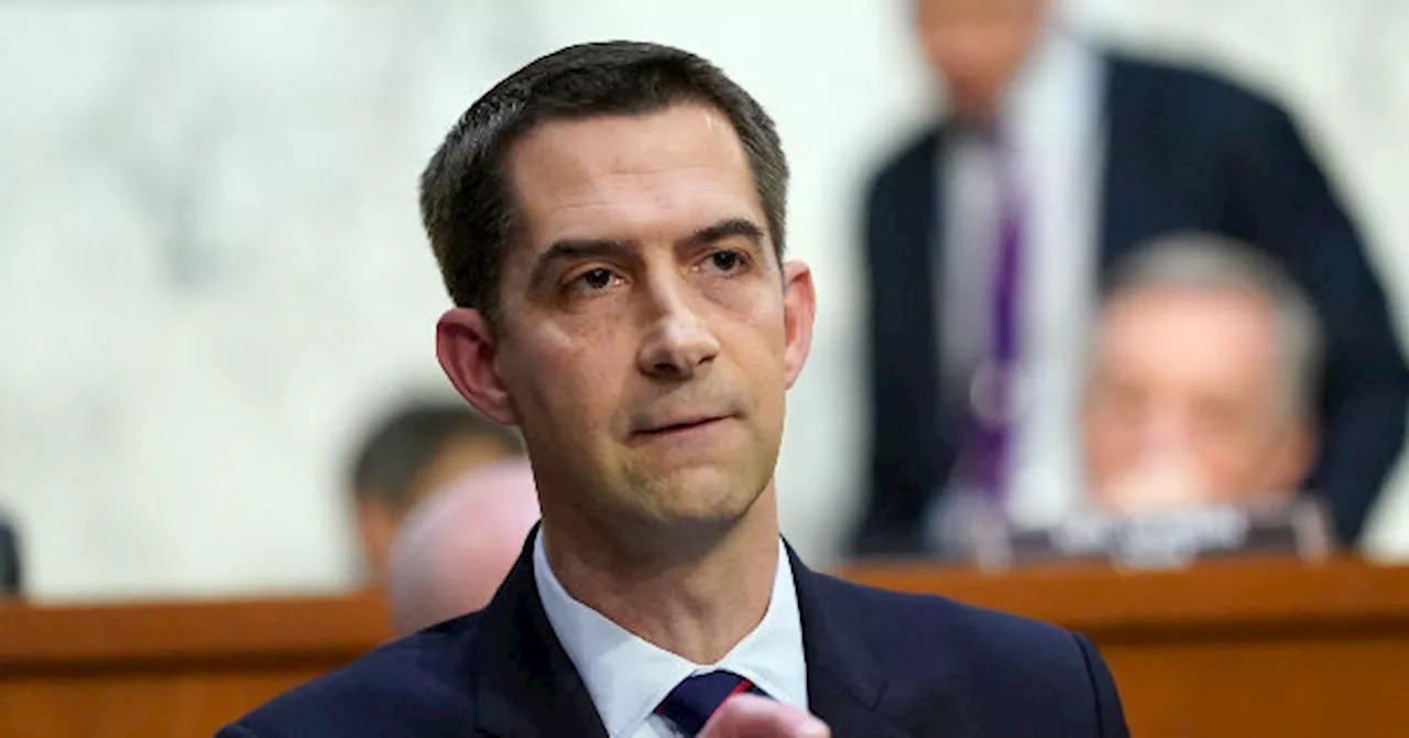 Cotton: ‘There’s Been No Evidence of Any Crime Whatsoever’ in Trump’s NYC Trial