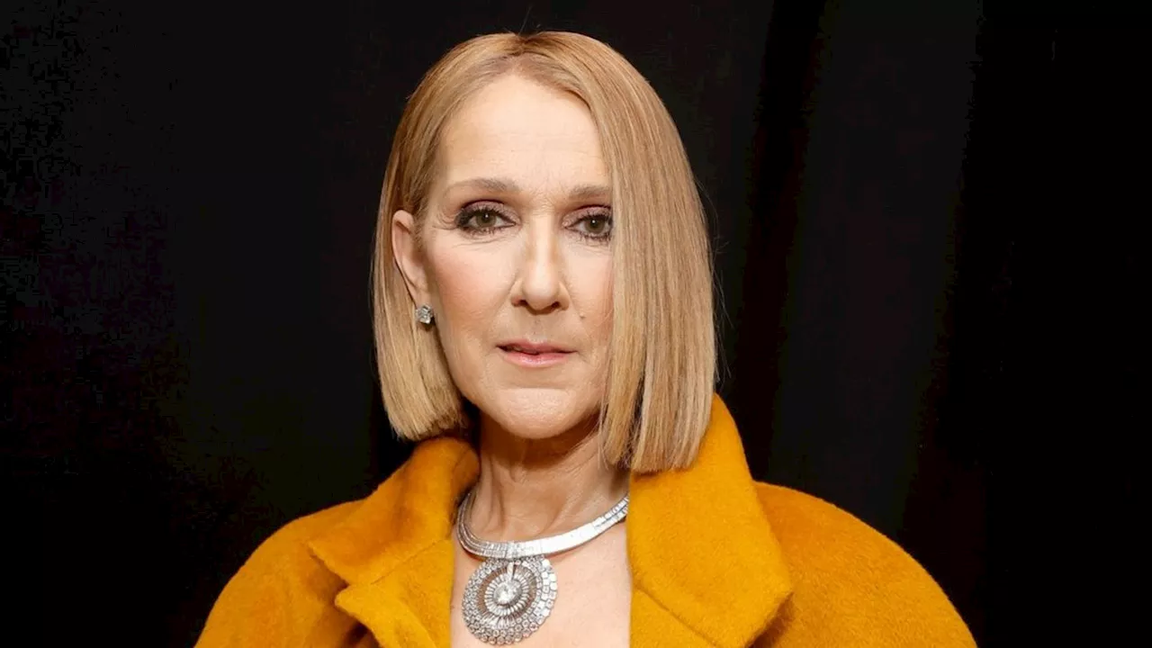 Céline Dion: Sie feiert bei Rolling-Stones-Konzert mit ihren Söhnen