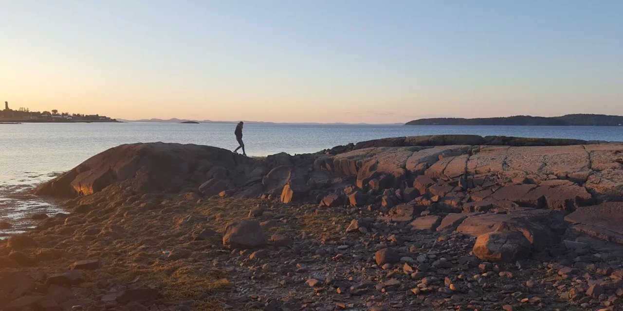 Resilience at the Edge: City of Eastport Considers Harnessing Tidal Power for Island Microgrid