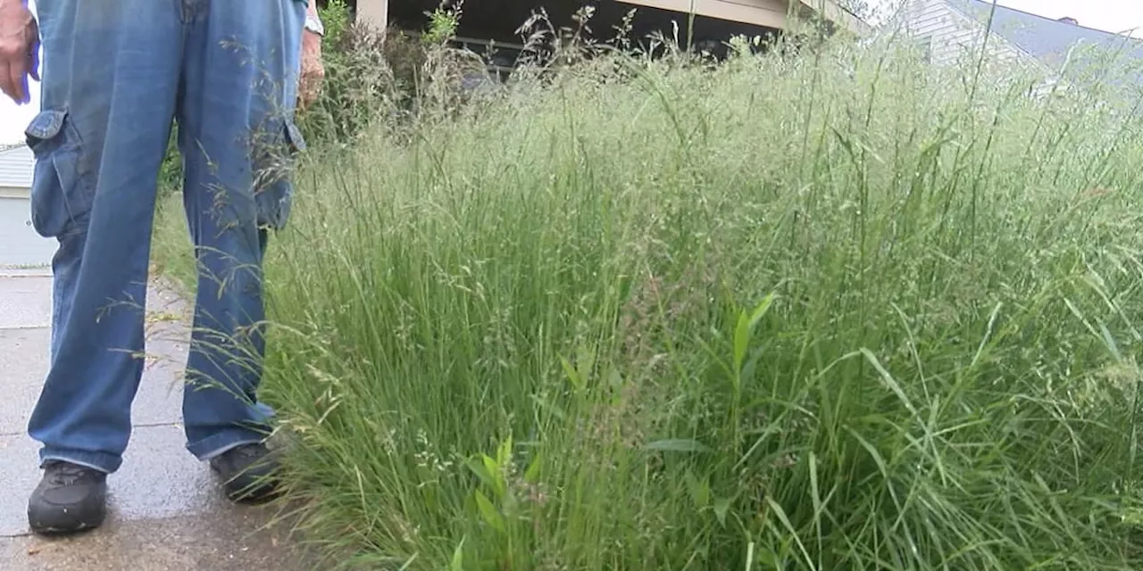 Grass out of Control: More than 3 feet of grass in Cleveland yard