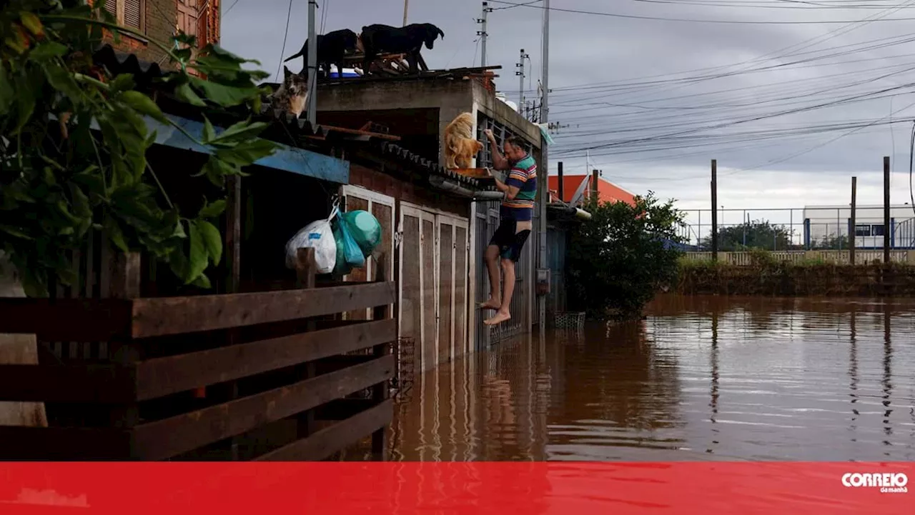 Primeira carga de ajuda humanitária de Portugal para o Brasil seguiu hoje de avião