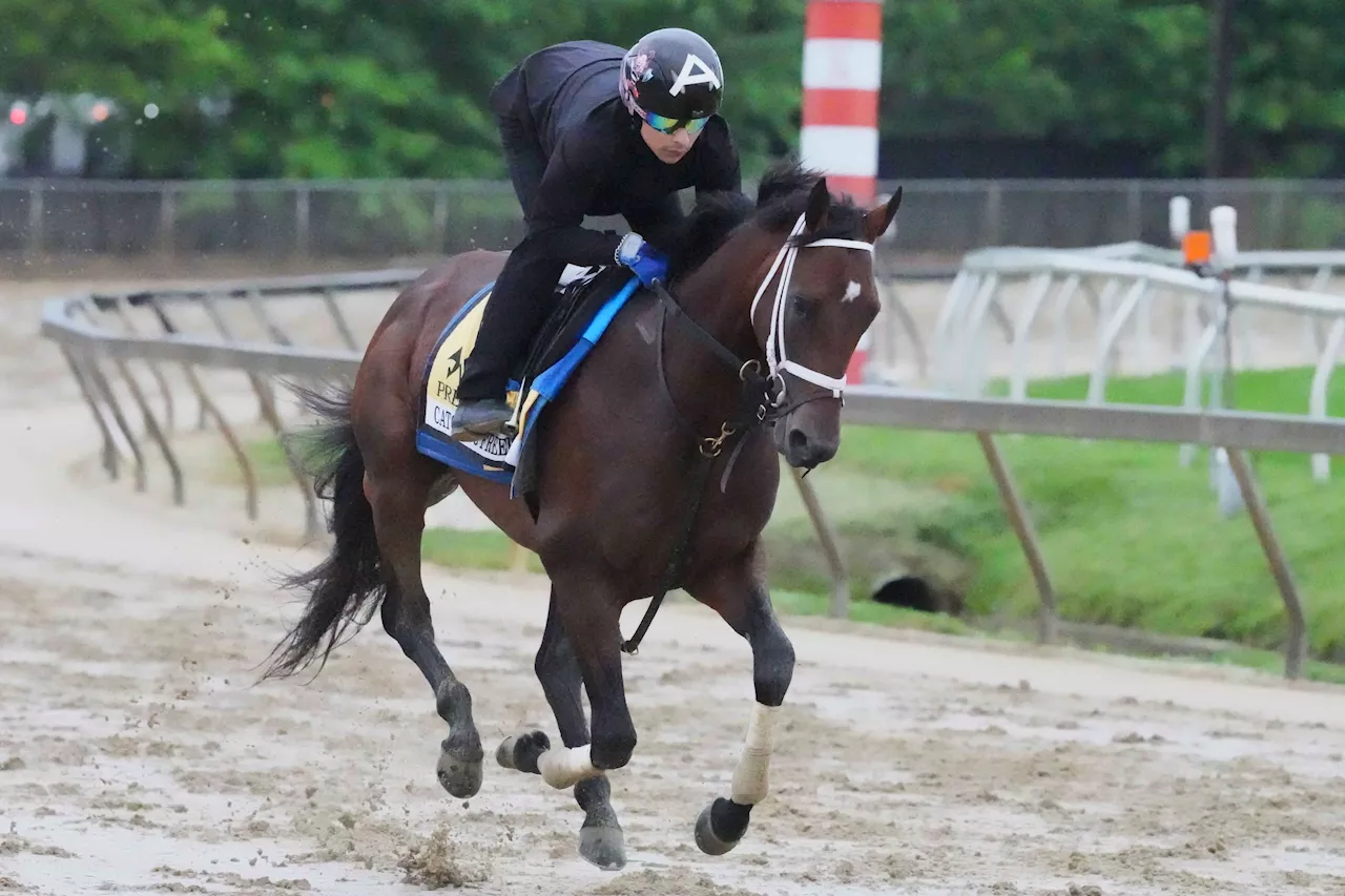 Preakness Picks: How to Hit the Preakness Trifecta on a $100 Budget