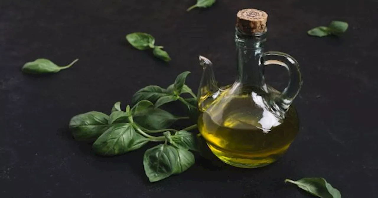 ACEITE DE ALBAHACA: así podés prepararlo en tu casa y aprovecharlo en las recetas que cocines