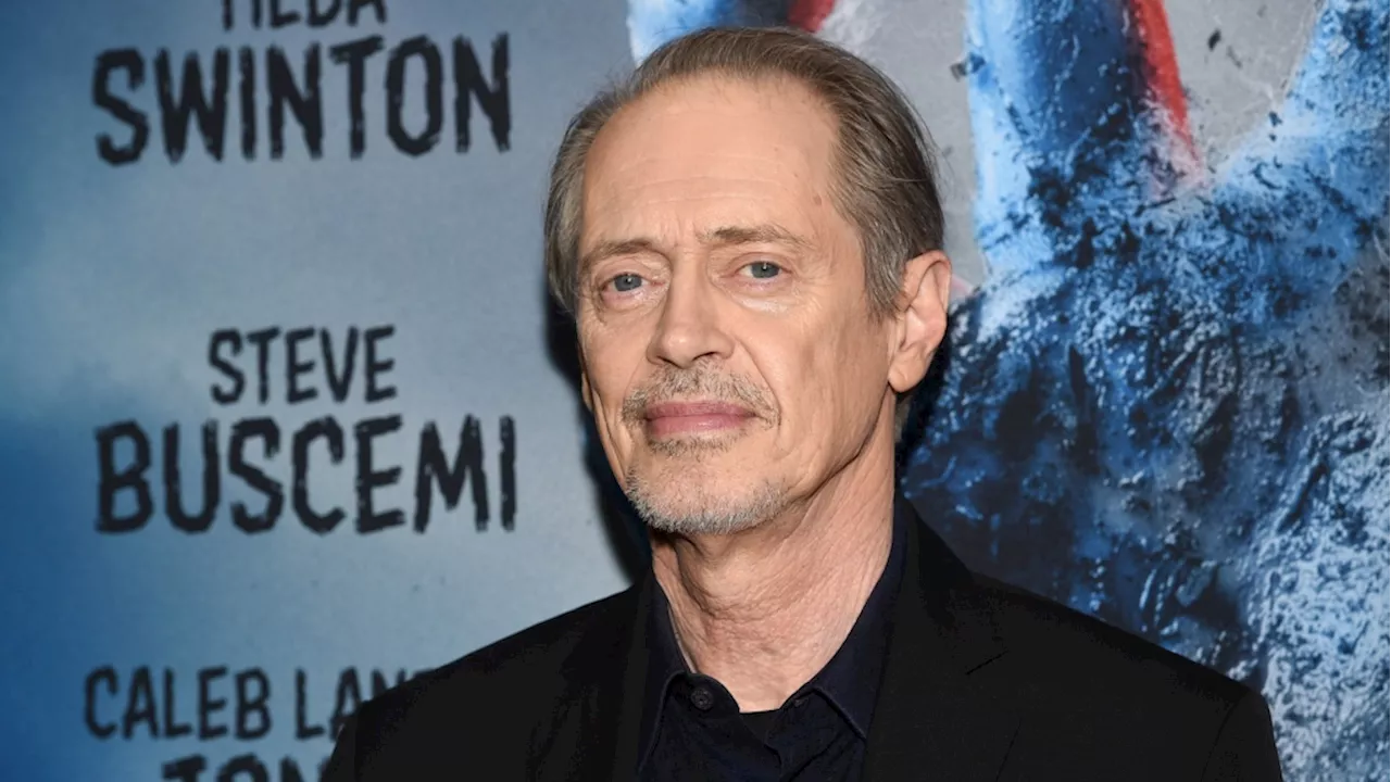 Person charged in random assault on actor Steve Buscemi in New York