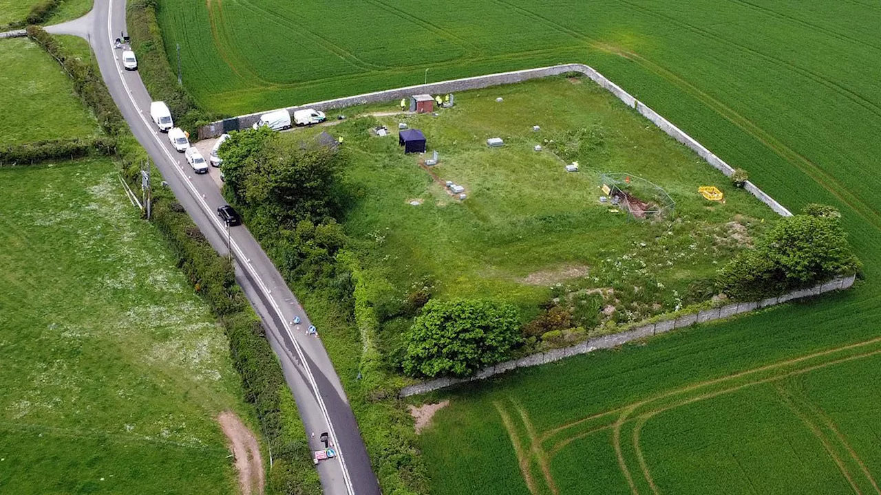 Damaged air valve in cow field is source of Devon's parasite outbreak