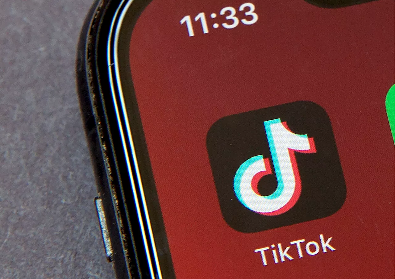 DOJ joins TikTok in calls for ‘prompt’ Dec. 6 ruling on ban