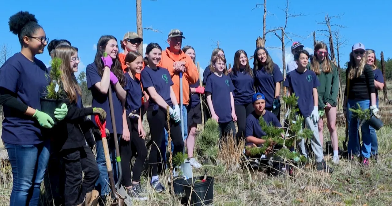 Middle school students planting trees in Black Forest burn scar