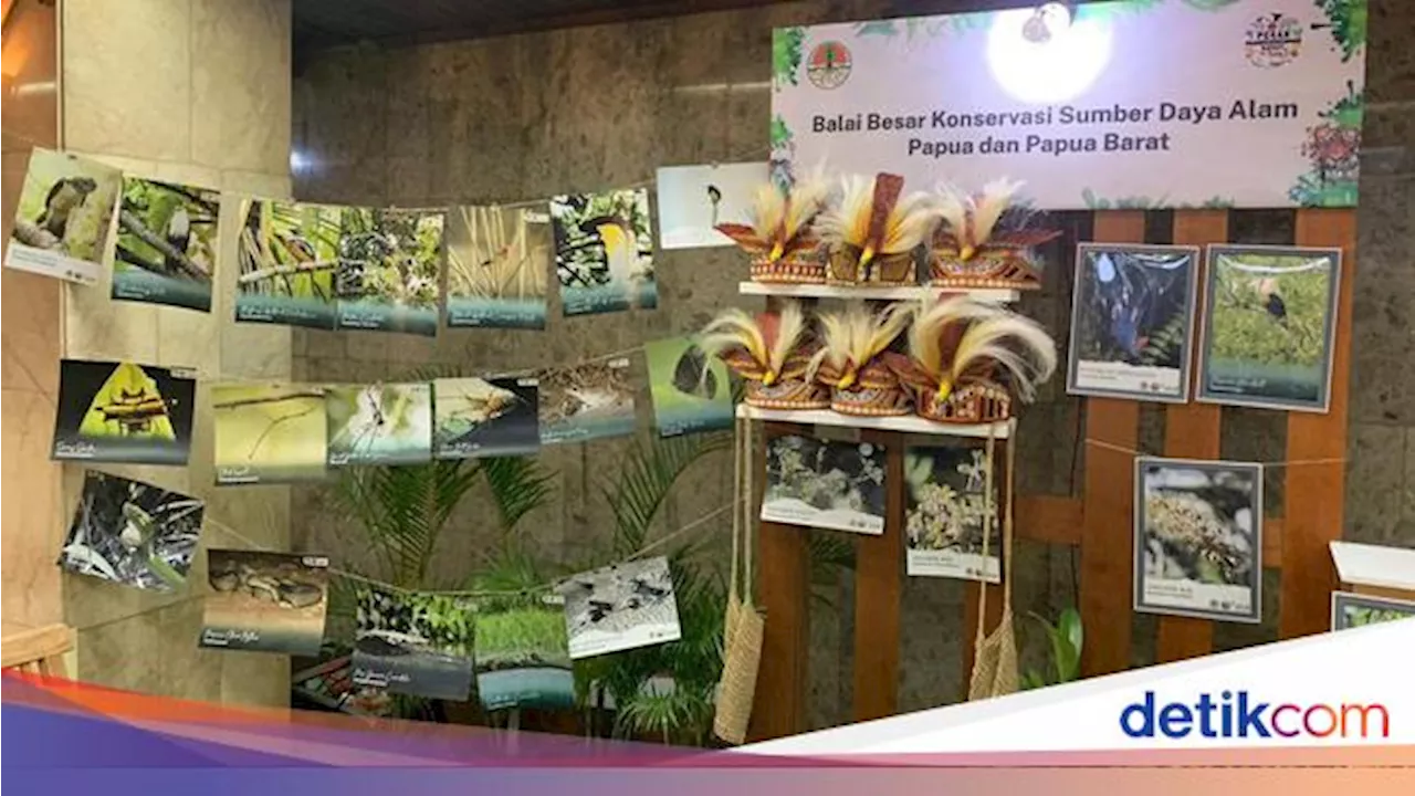 Mengenal Badak-Komodo dkk dan Konservasi Pelestariannya di Pameran Keanekaragaman Hayati