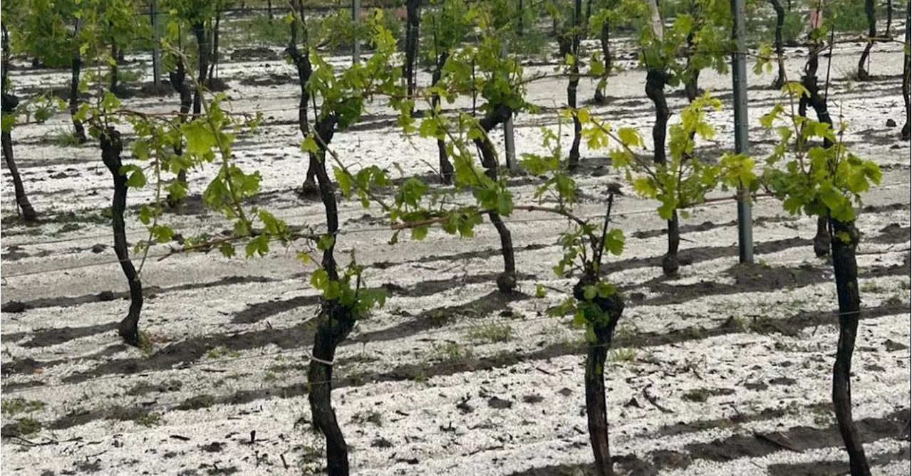 Schwere Hagelunwetter im Burgenland