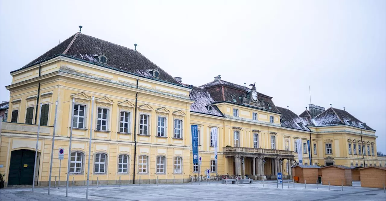 Vortrag von israelischen Wissenschaftern: Rote Farbe vor Schloss Laxenburg verschüttet