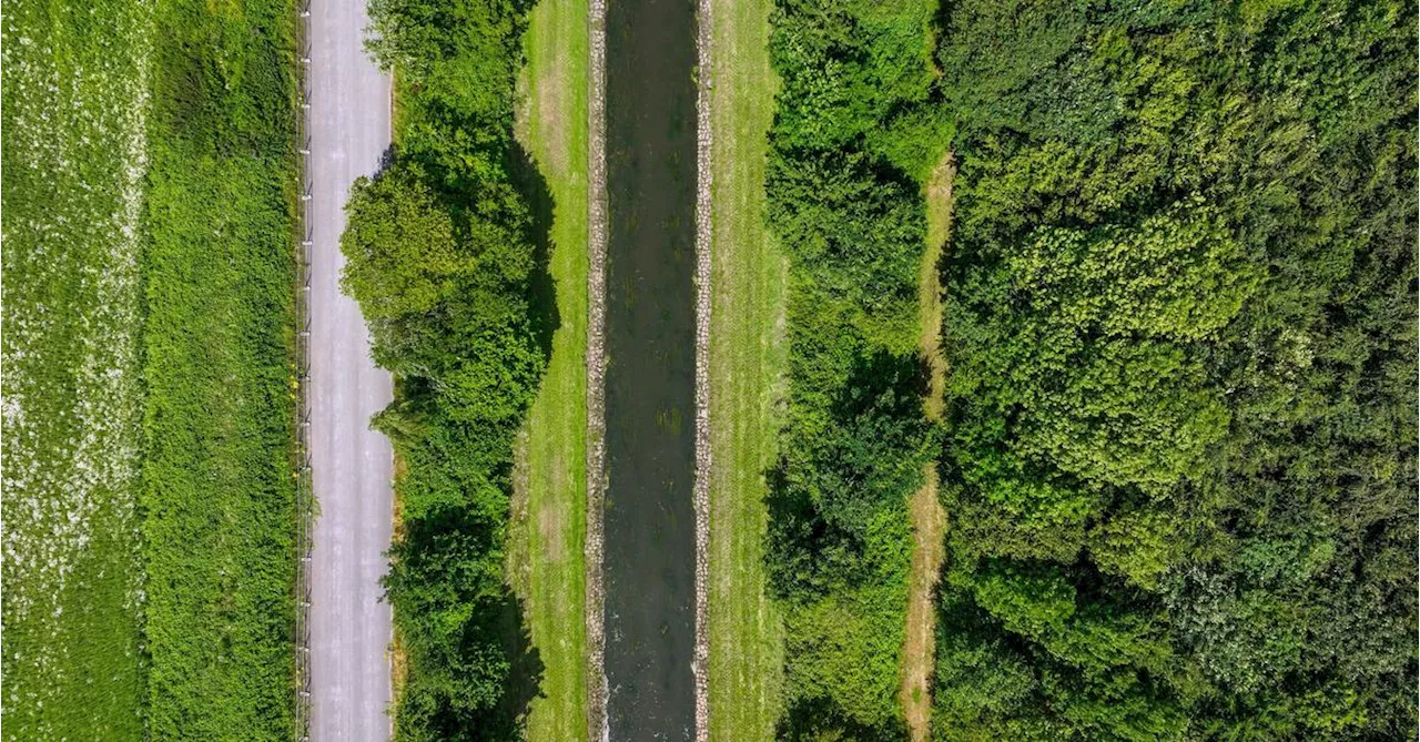 Wien und Kärnten wollen EU-Renaturierungsgesetz nicht mehr blockieren