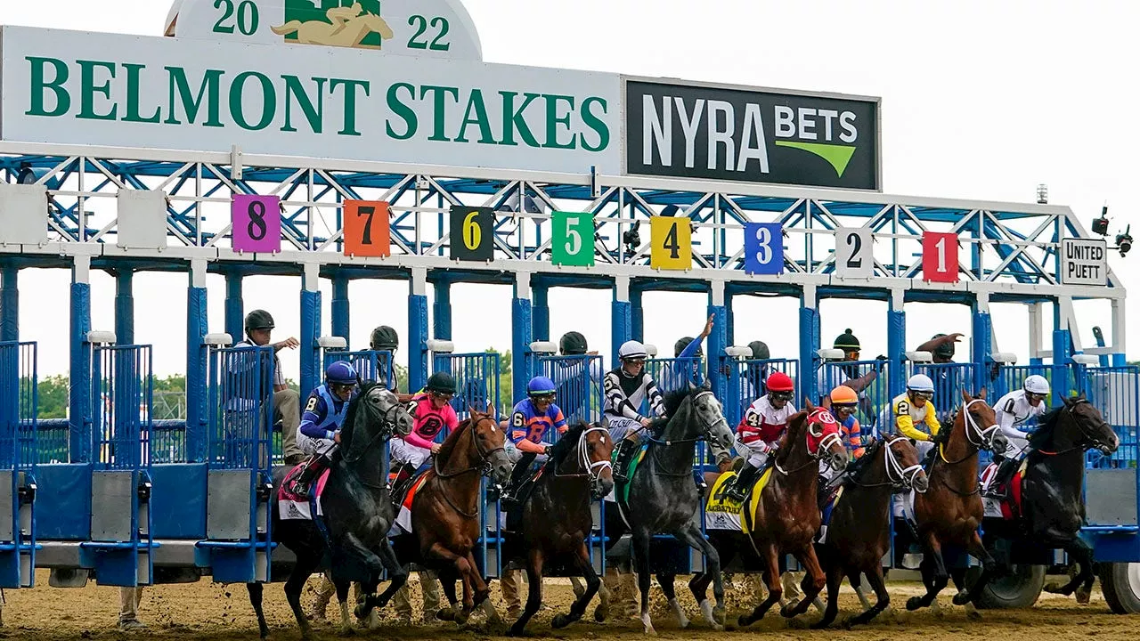 Belmont Stakes vs. Preakness Stakes: What separates the two horse racing events from each other