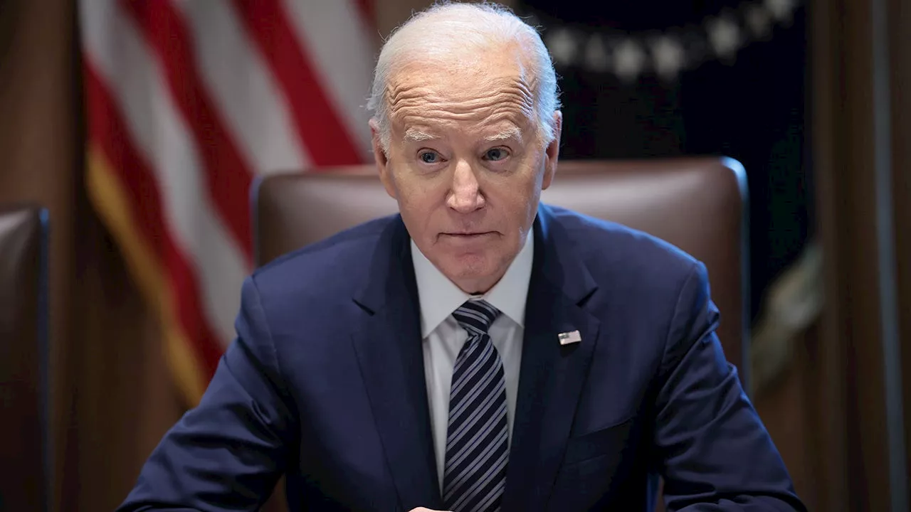 Biden's privilege claim to keep special counsel interview under wraps a 'crude politics' move: experts