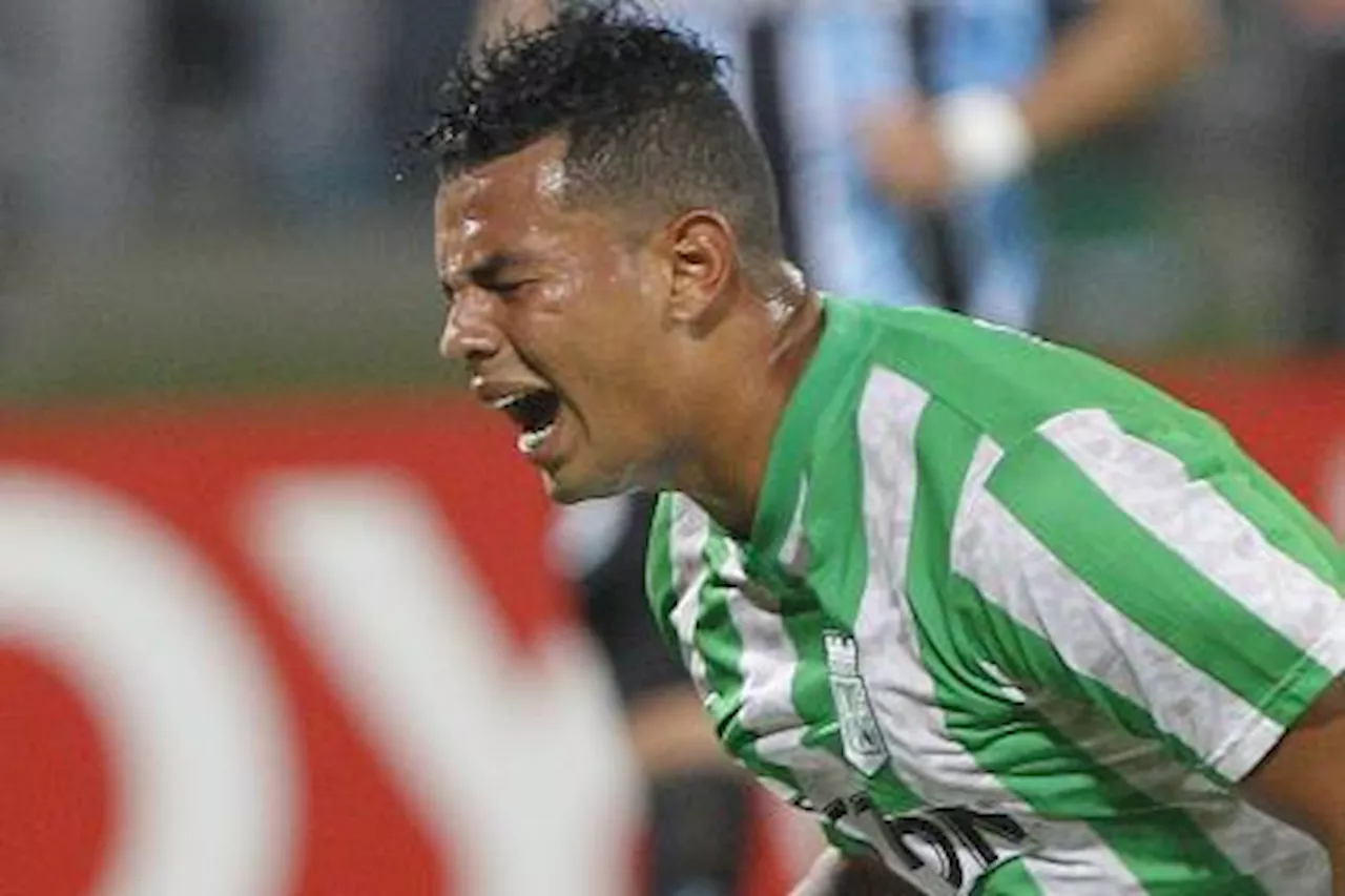 ‘Edwin Cardona llega a Atlético Nacional por presión mediática’