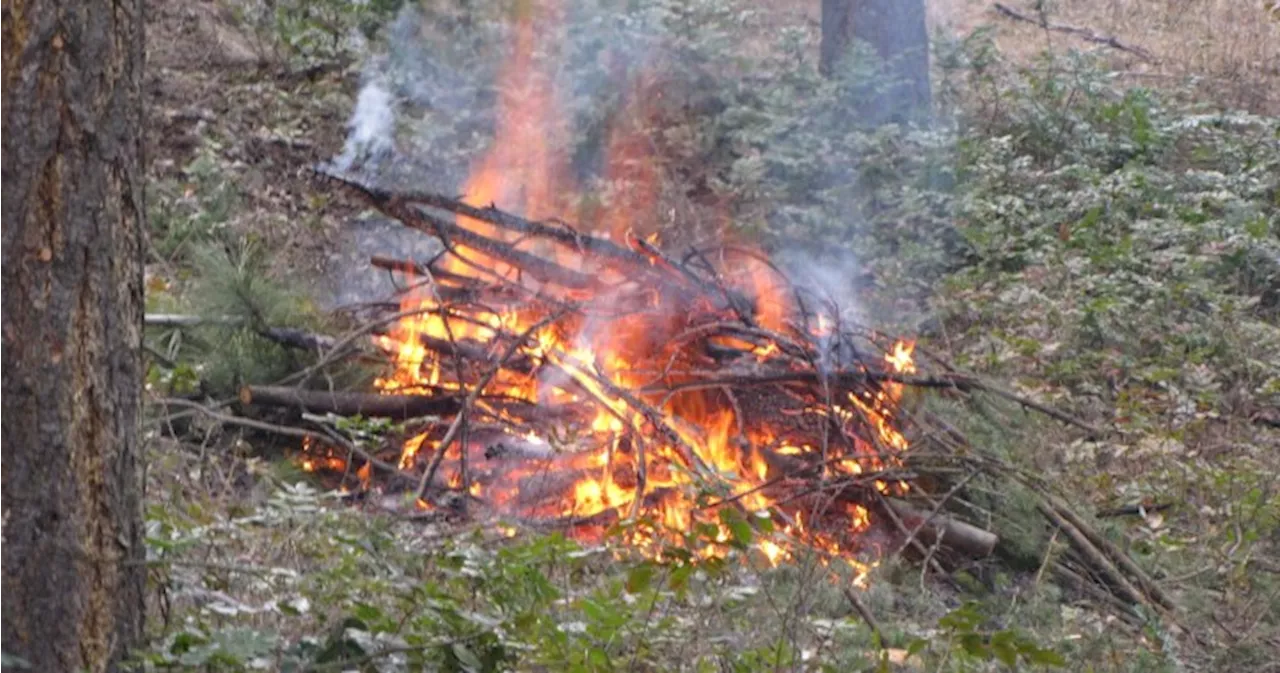 Campfires OK for long weekend, but Category 2 fires banned in Okanagan