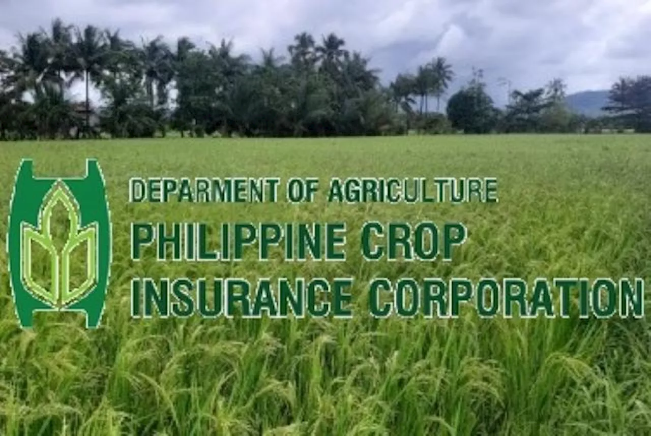 Marcos brings back state crop insurer to DA