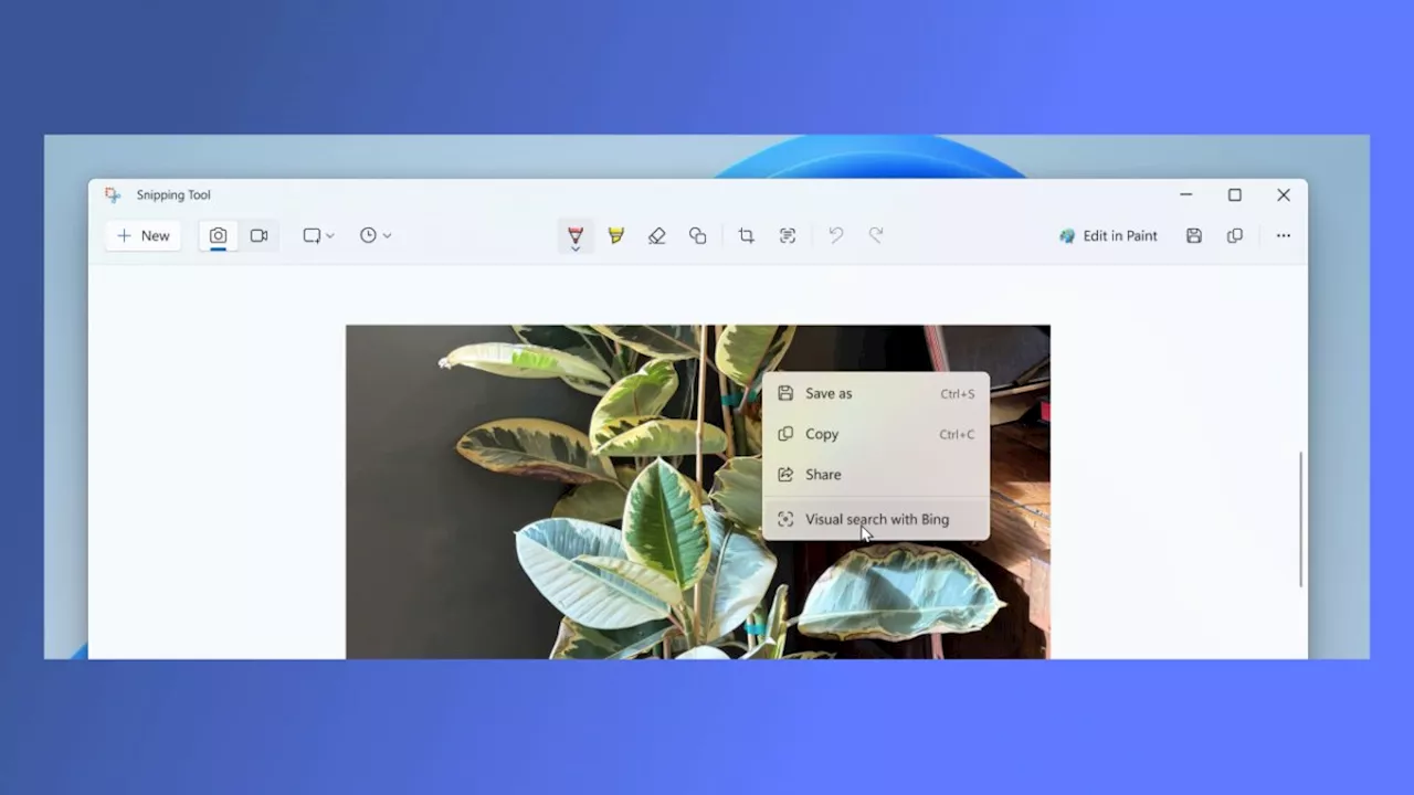 Microsoft: Snipping Tool erhält visuelle Suche