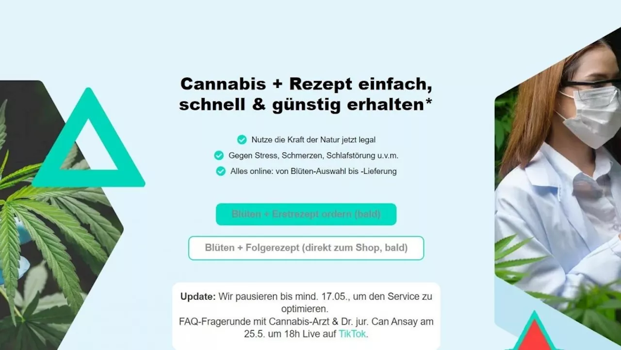 Tausende Rezepte für Cannabis auffindbar, Suchmaschinenbetreiber unschuldig