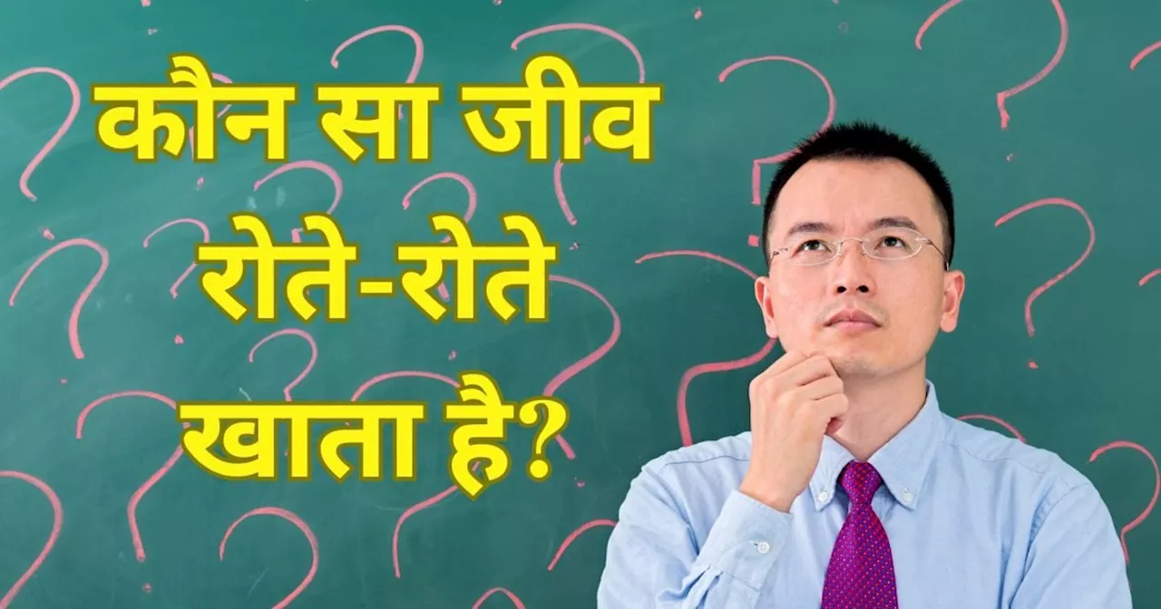 कितना भी मनपसंद खाना हो, रोते-रोते ही खाता है ये जीव, मशहूर हैं इसके आंसू, क्या जानते हैं इसका नाम?