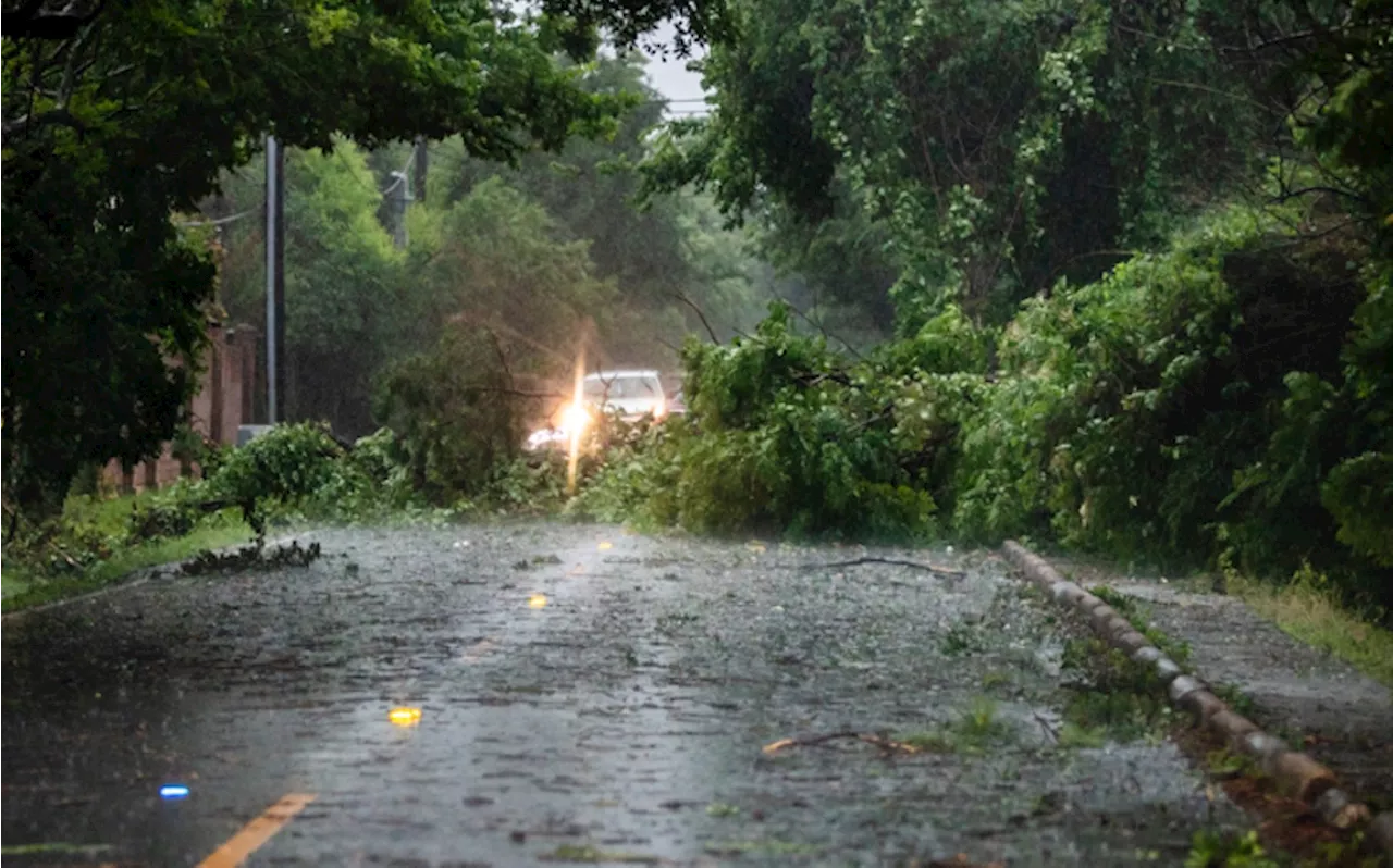 Houston Residents Tackle Damage Caused By Thursday Night's Severe Storms