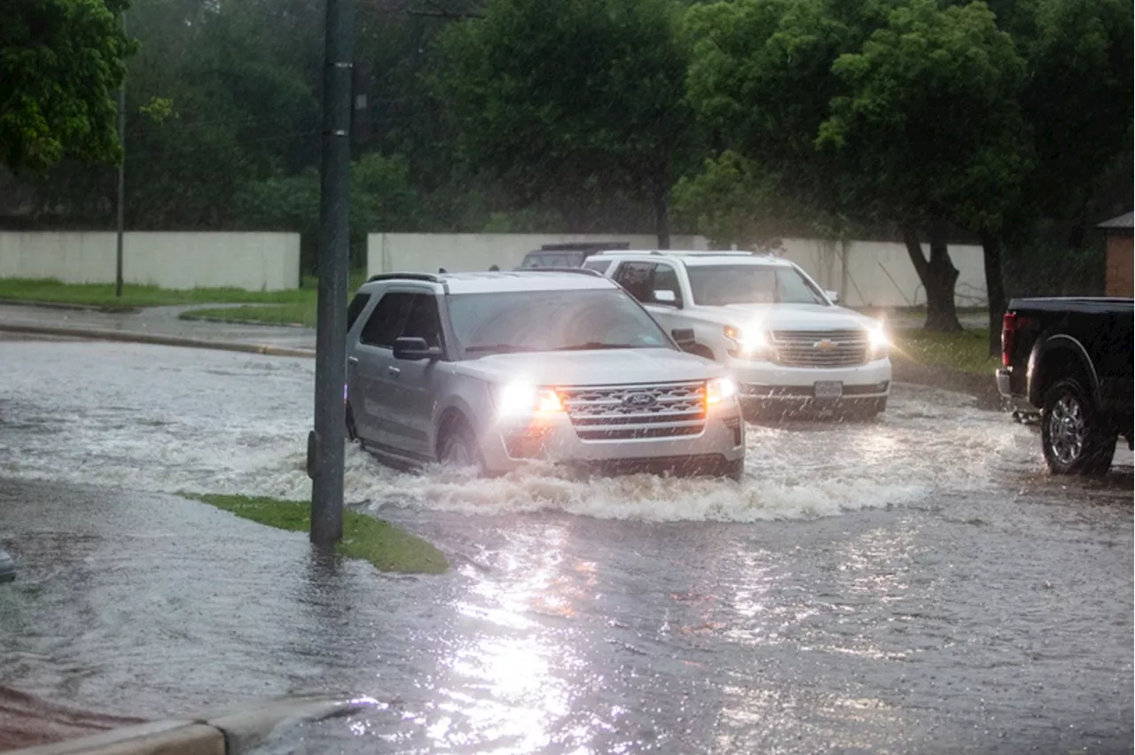 In the Midst of Thursday Night's Heavy Storms: Downed Trees, Flooding and Heavy Rain