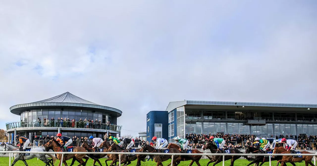 Bumper crowd expected as Naas offers free entry to ‘Trials’ card that does what it says on the tin