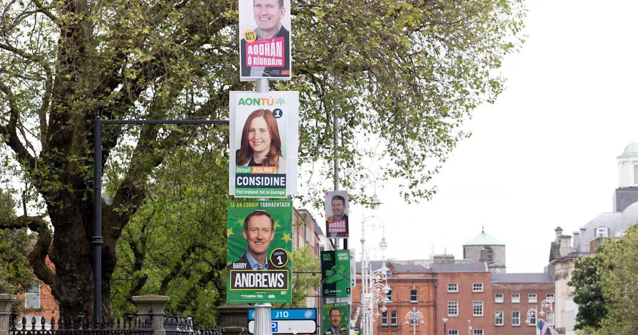 Ireland's local and European elections: what do I need to know?