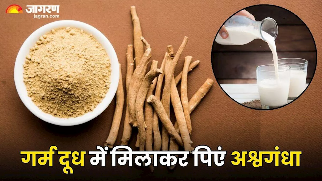 Benefits of Ashwagandha: गर्म दूध में अश्वगंधा मिलाकर पीने से मिलते हैं ऐसे गजब फायदे, जो कर देंगे आपको भी हैरान