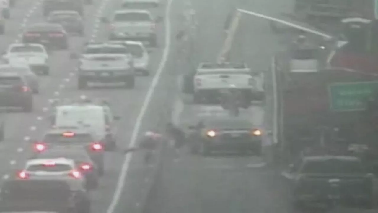 Video shows fight before trooper-involved shooting on I-5 in Everett, all NB lanes closed