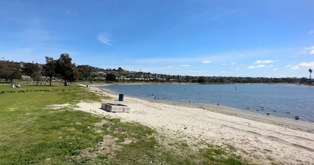 A plan to restore Mission Bay wetlands