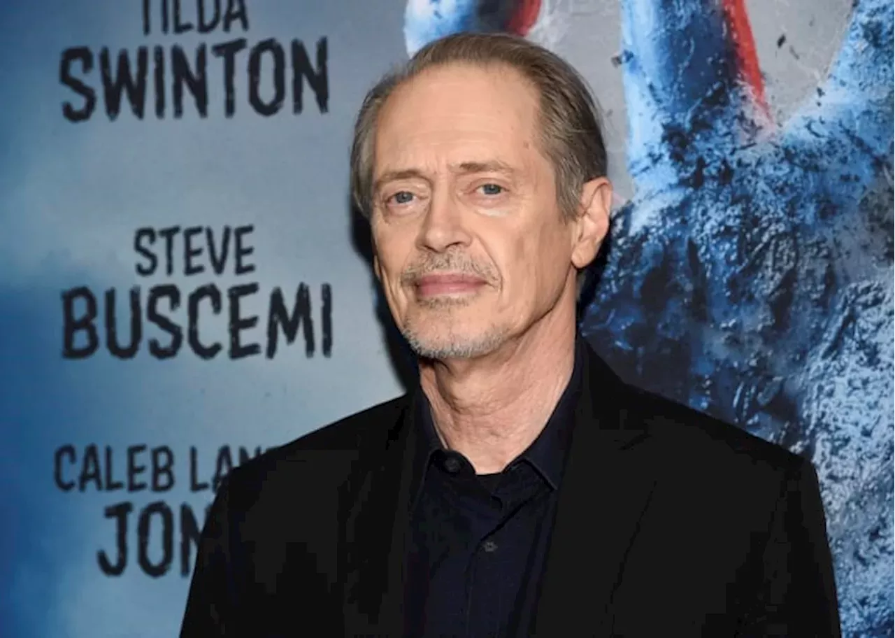 U.S. News Person charged in random assault on actor Steve Buscemi in