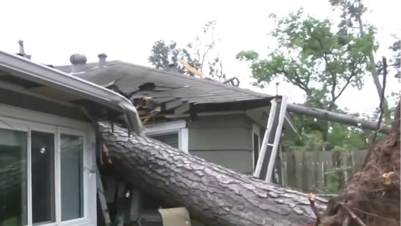 Trees, power lines down in Houston; Daylight illuminates how severe deadly storm truly was