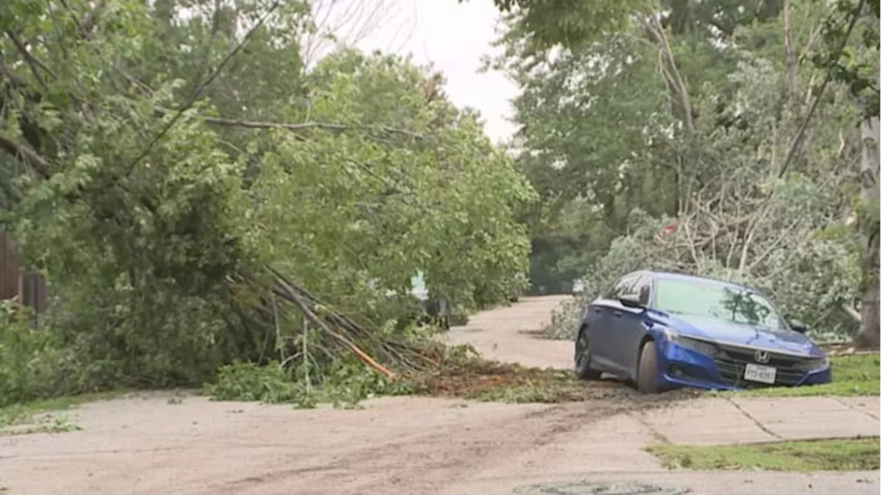 Useful tips on how to sort through storm debris during cleanup