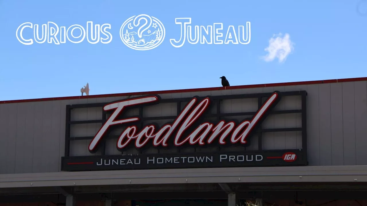 Where do the Foodland ravens roost?