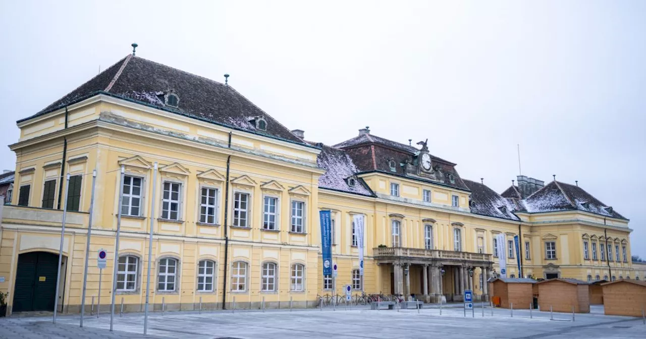 Palästina-Demo: Farbe vor Schloss Laxenburg verschüttet