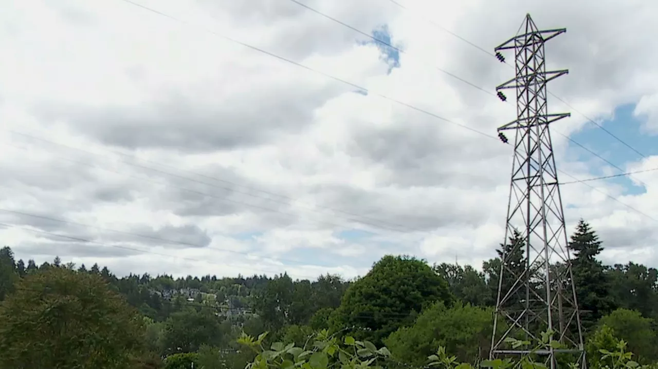 Person climbs powerline tower to take selfie, gets electrocuted & falls 40 feet