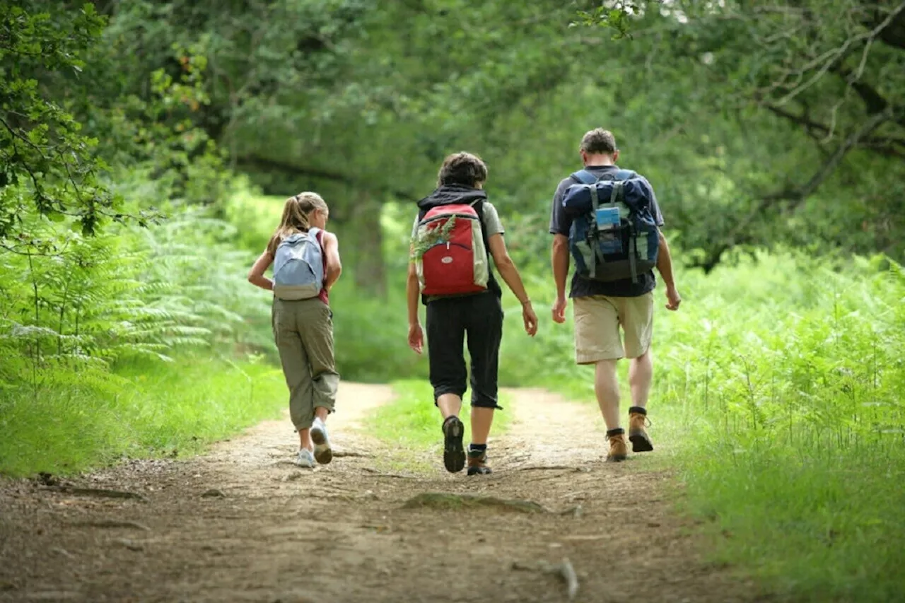 Tous en forêt de Crécy-en-Ponthieu pour l'inauguration de nouveaux chemins de randonnée