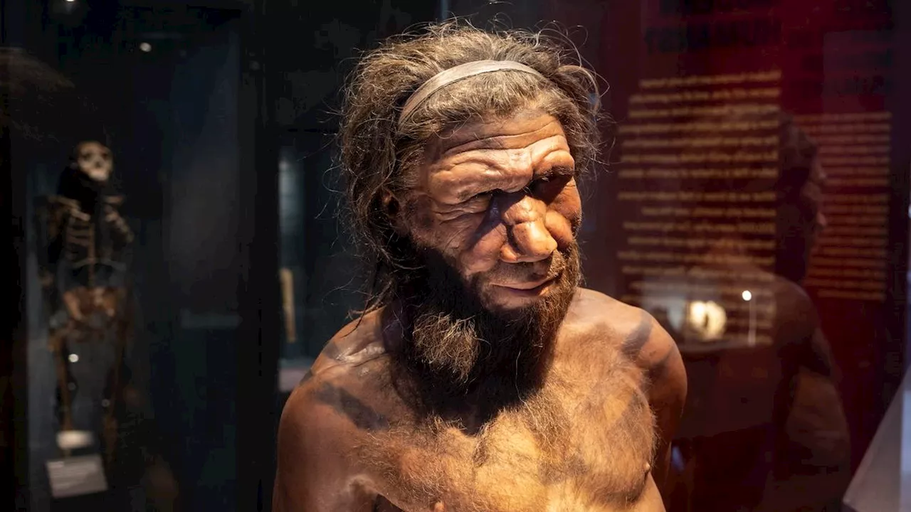 The mystery of the disappearing Neanderthal Y chromosome