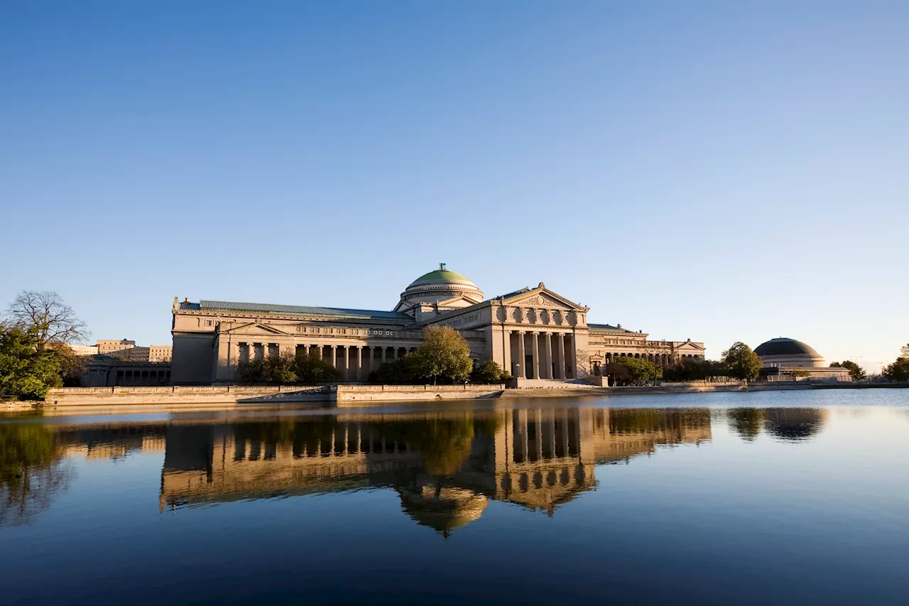 Museum of Science and Industry to celebrate new name with free admission day