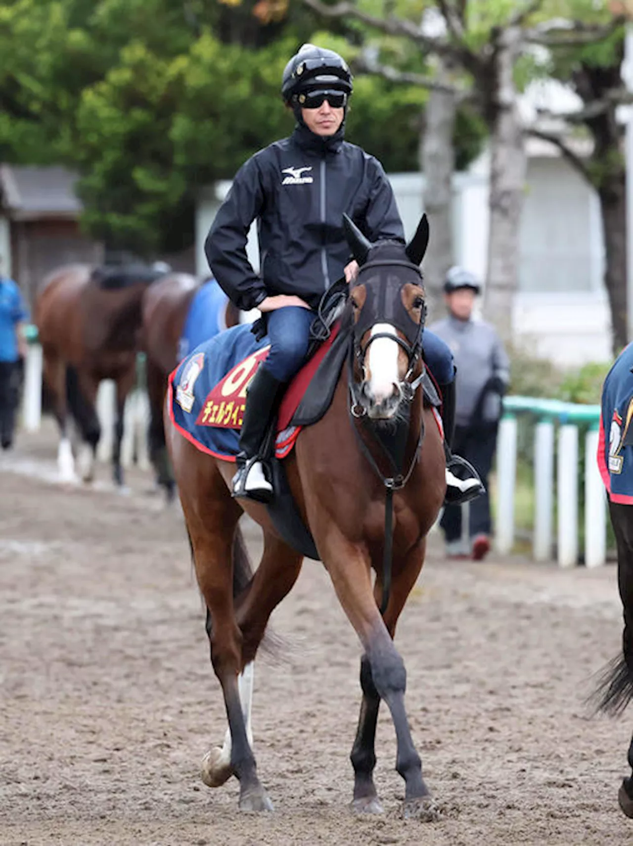 【オークス】ルメールはチェルヴィニア選択「この馬でクラシック」４度目の樫制覇へ一変ムード