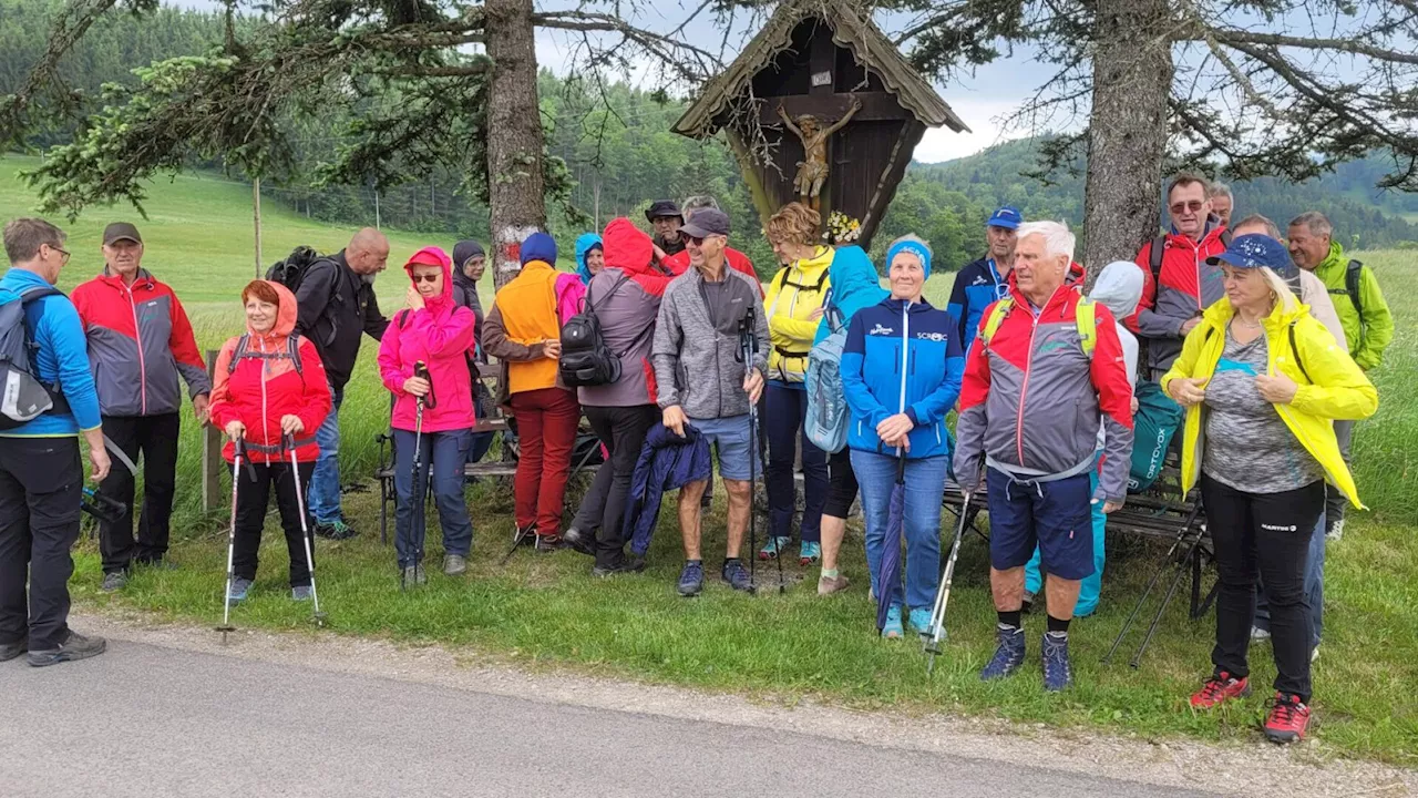 Hainfelder Naturfreunde am Hirschweg unterwegs