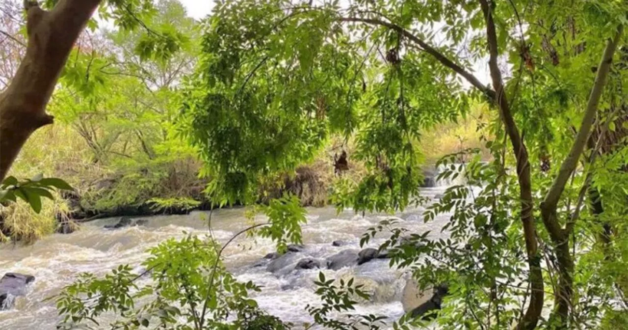 ¿Por qué preocupa la contaminación del Río Lerma para el campo en Guanajuato?