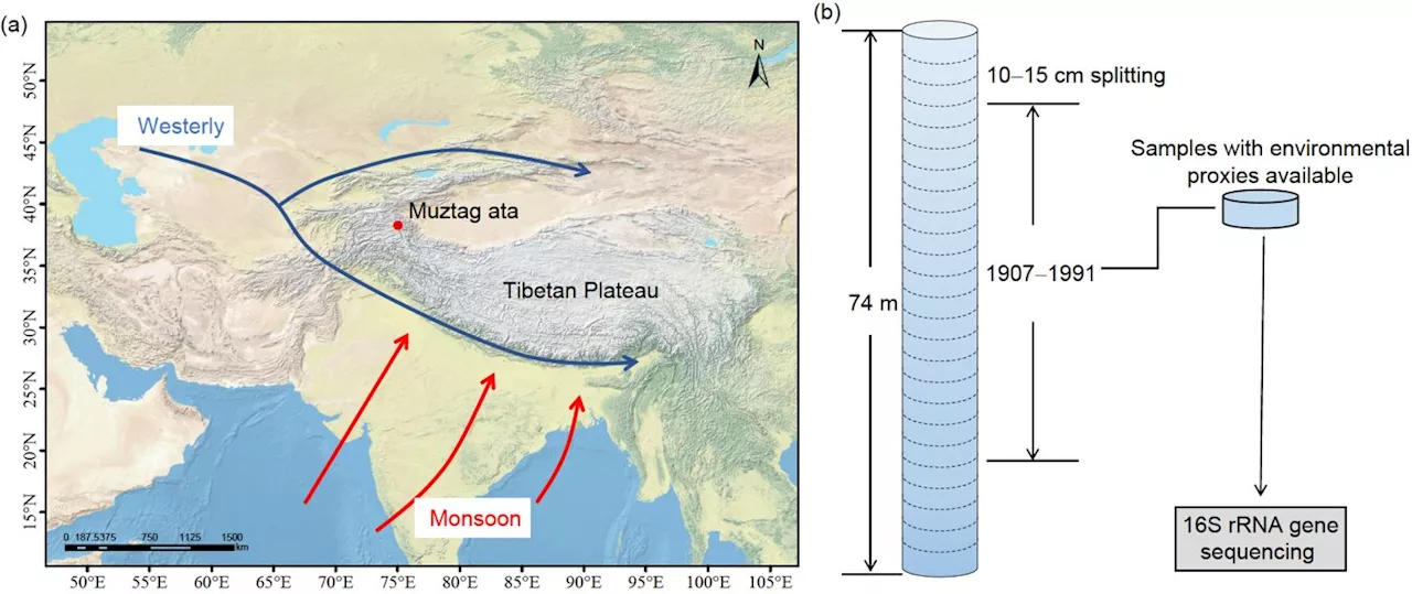 Research finds human activity over natural inputs determines the bacterial community in an ice core