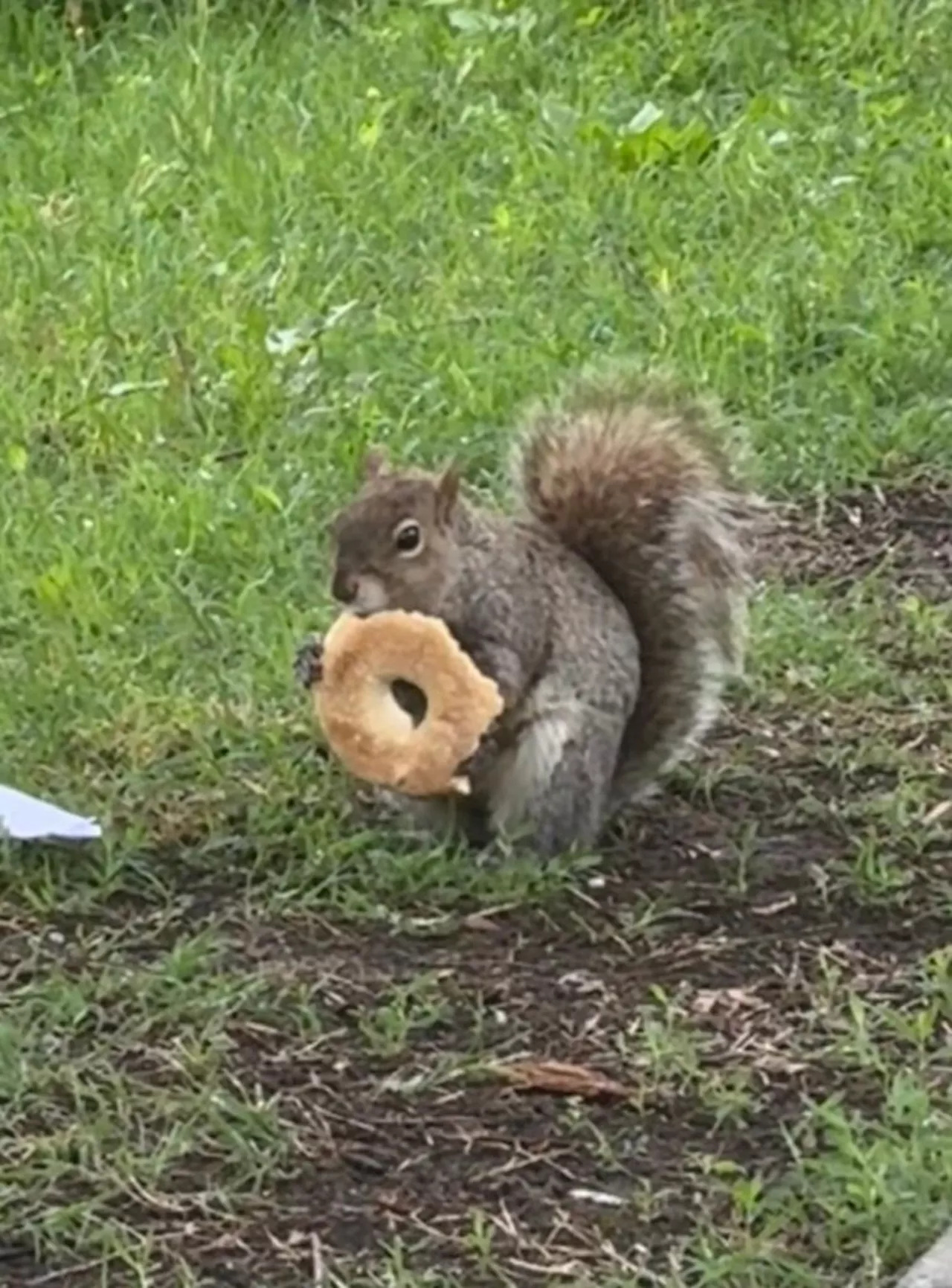 Caption Contest Time!